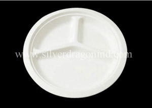 Biodegradable Disposable Compostable Sugarcane Bagasse Paper Plate